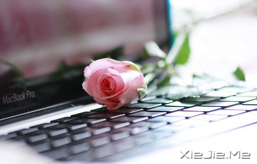 ��Ҫ������ң�ֻ�󰲰����� (5)