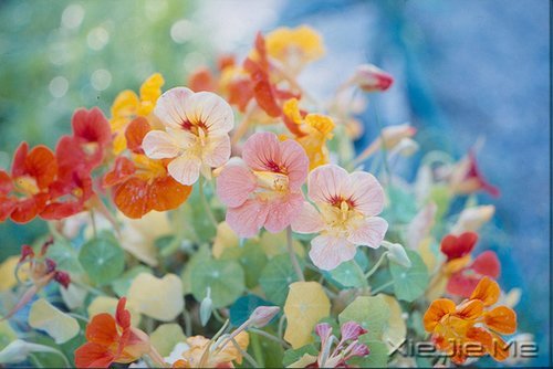 ���㶮�ã�������ϧ (5)