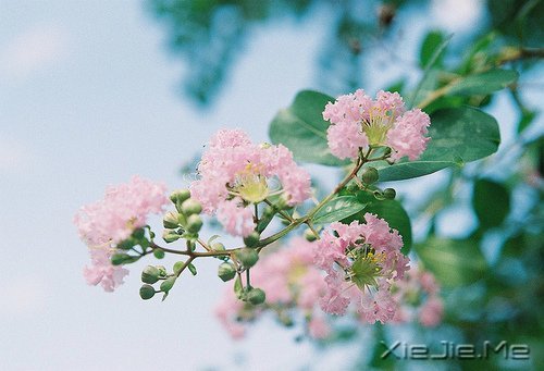 ������ʵ���Լ���������õ� (3)