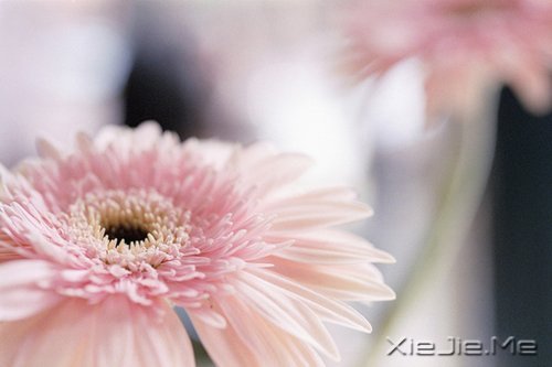 Ҫ�����Լ�����Ҫ�����Լ� (9)