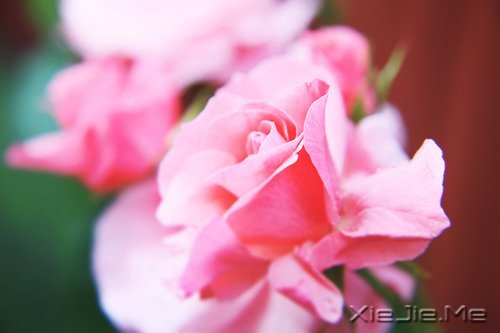 ÿ���˶����Լ�����������ů��֪ (6)