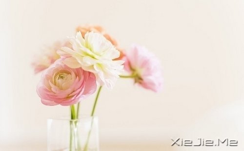 �����������ܿ�����ʵ���Լ� (1)