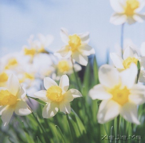 ���Լ����ˣ��Ż����˰� (3)