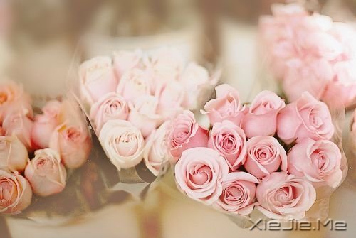 ʱ��������ֻ������һȥ���� (9)