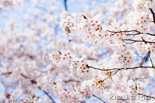 不管成功与否,至少曾经美丽 (6)