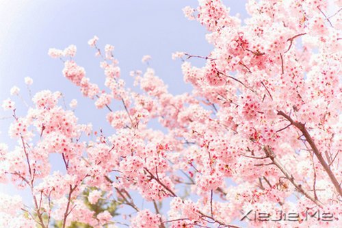 人生最清晰的脚印,往往印在最泥泞的路上 (1)