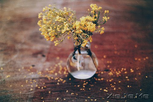 人生最清晰的脚印,往往印在最泥泞的路上 (8)