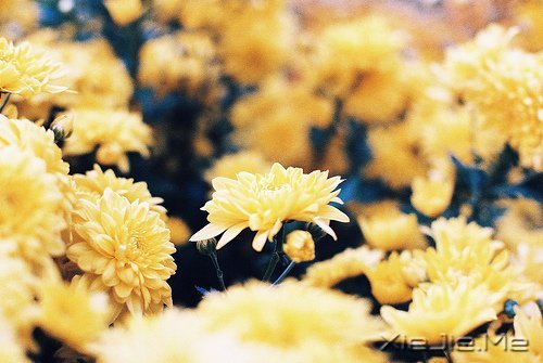 默然相爱,寂静喜欢 (9)