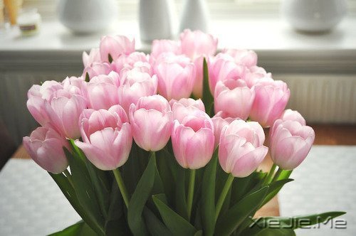 人生,一半是现实,一半是梦想 (2)