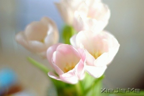 �ܲ���ʱ����ܹ�������Լ� (3)