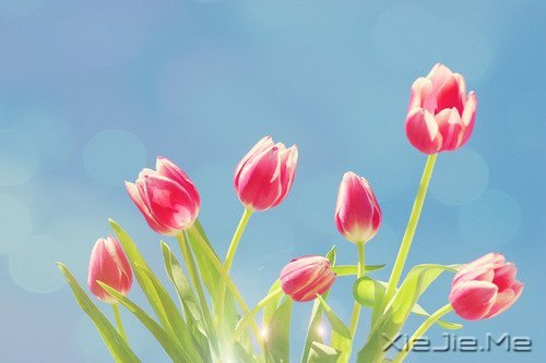 ����˥�ϵĲ������գ����ǲ��ҽ�ȡ���� (1)