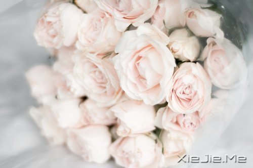 ����������ʹ�࣬˵��������л����� (1)