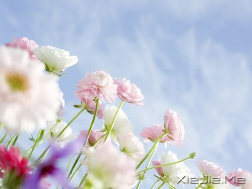 ��ֻ�ж���������֮�أ����ܿ���ʱ��֮�� (9)