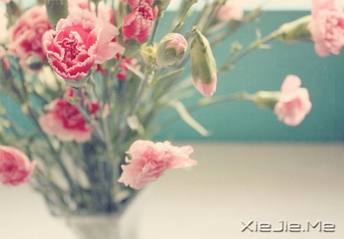 早安心语:如果时间可以倒退,一切也就不再珍贵 (10)