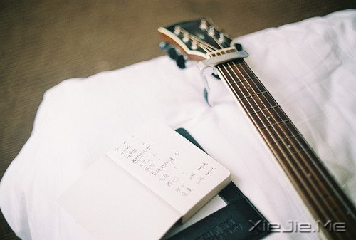 早安心语:只要你想,随时都可以开始 (12)