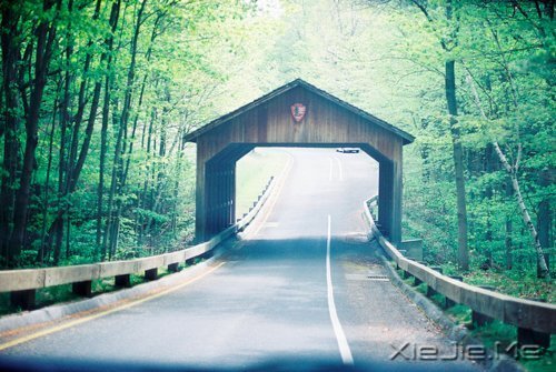 早安心语:安慰别人的话,终究安慰不了自己 (4)