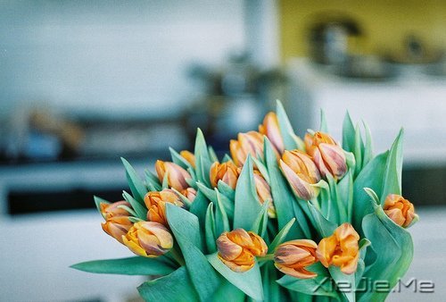 早安心语:别为不该为的人,伤了不该伤的心 (11)