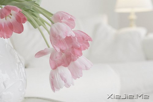 早安心语:走今天的路,过当下的生活 (5)