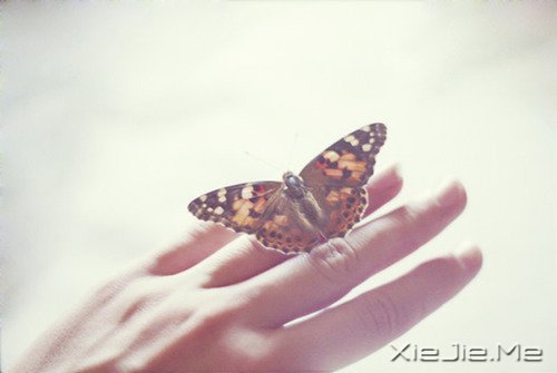 时间不仅让你看透别人,也让你认清自己 (4)