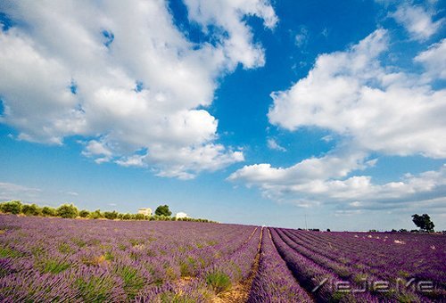 �Ҹ����Լ��ģ���Զ��Ҫ�ñ����������� (8)