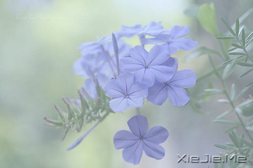 适当的放弃,是人生优雅的转身 (6)