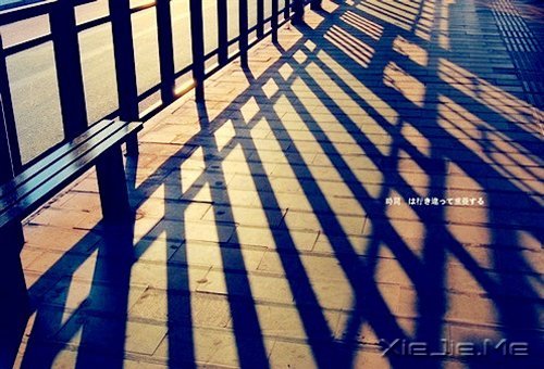 过自己喜欢的生活,喜欢自己过的生活 (8)