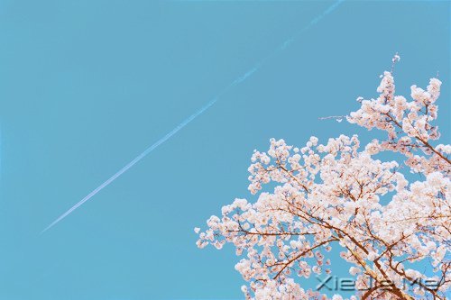 ͯ��δ������һ��ֵ�ý��������� (10)