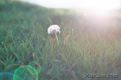 晚安心语:最好的决定,往往是不假思索的那一个 (6)