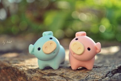 早安心语:我爱自己,没有情敌 (3)