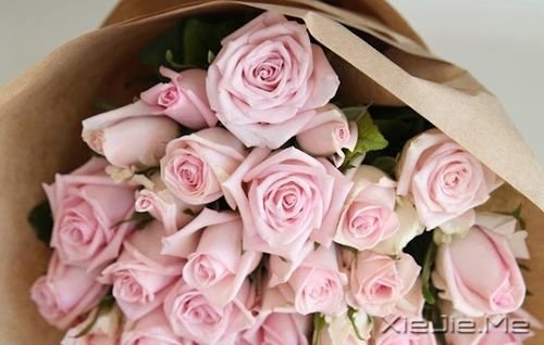 早安心语:我爱自己,没有情敌 (10)