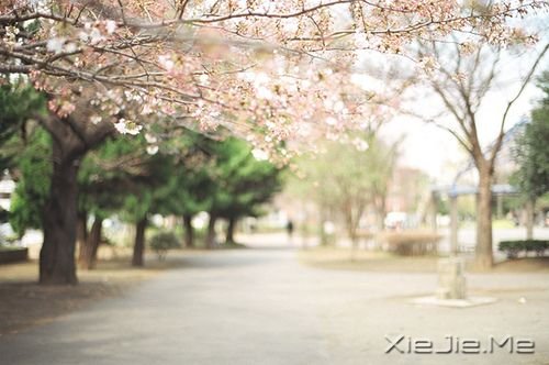 晚安心语:总有些瞬间,能温暖整个曾今 (2)