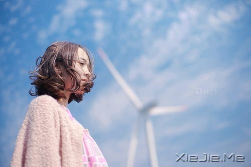 早安心语:阳光,源自你内心的澄澈 (10)