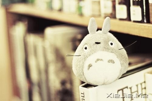 晚安心语:人不怕走在黑夜里,就怕心中没有阳光 (8)