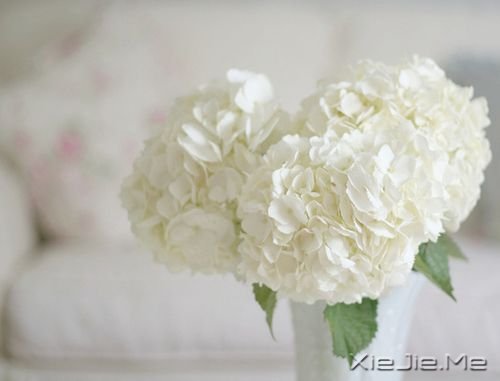 ��������޲�������������ֻ˵�����ǿ̫���� (10)