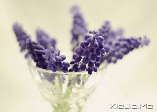 �簲���û��ʲô�ѹ������ڲ�ͬ (9)