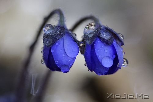 �簲���ɳ©�ǵã�����������ʱ�� (6)