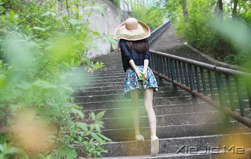 晚安心语:美从来不少,只要去寻找 (4)