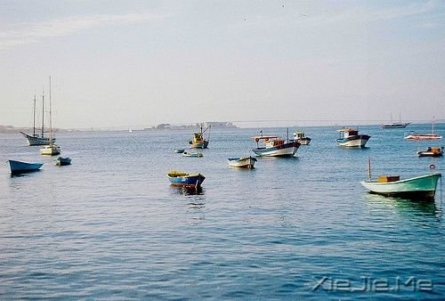 晚安心语:输什么也不能输了心情 (6)