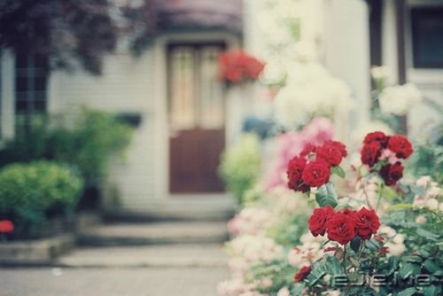 �����������һ�ο���������˲�䳤�� (6)