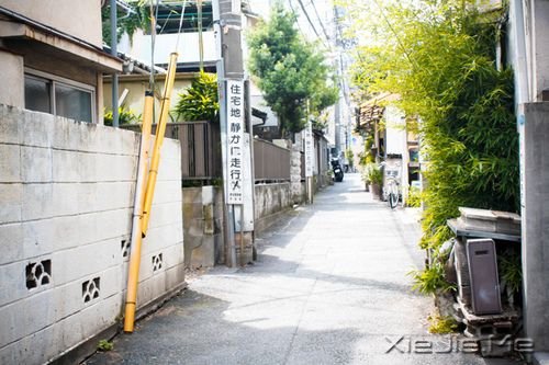 晚安心语:我们都老得太快,却明白得太迟 (2)