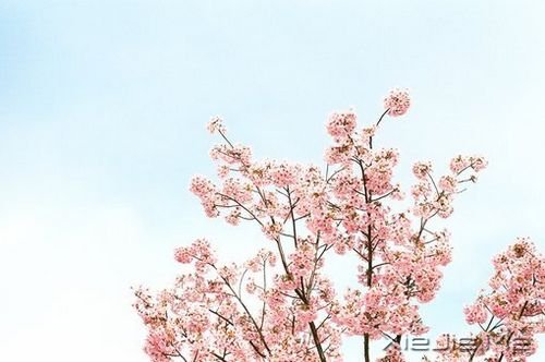 �簲����������з����꣬Ҳ������ (3)