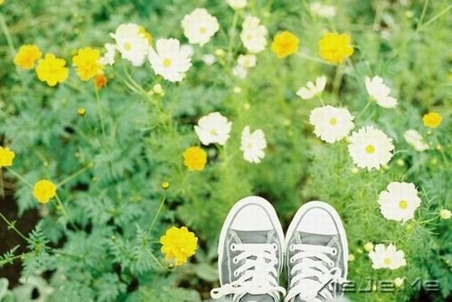 晚安心语:选择一条正确的路,坚定的走下去 (4)