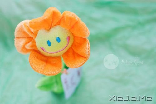 早安心语:跟随自己的内心与直觉 (8)