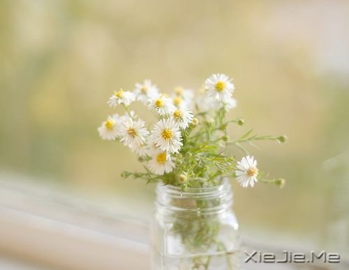 ���������������˶�����С����ȴ�������Կ� (10)