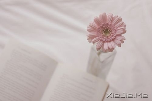 早安心语:我多害怕习惯了谁的好,然后又被无情的丢掉 (3)