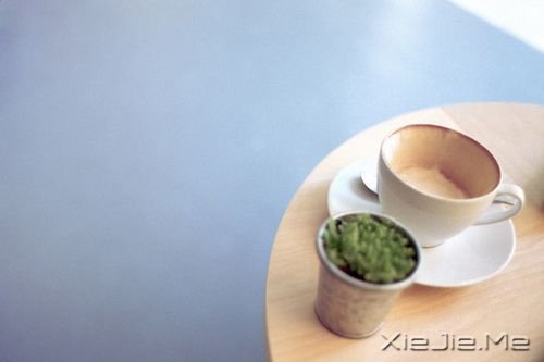 早安心语:我多害怕习惯了谁的好,然后又被无情的丢掉 (8)