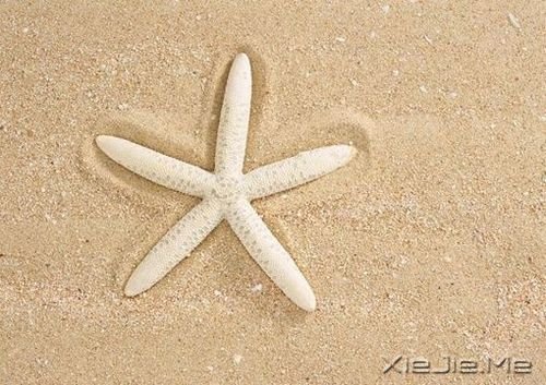 ������������õĳ�ŵ�������Ұ��㣬�����һ�һֱ������ (1)