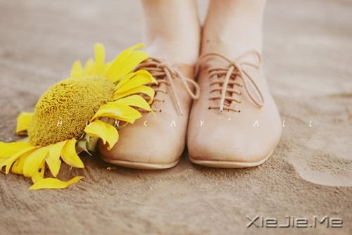 ������������õĳ�ŵ�������Ұ��㣬�����һ�һֱ������ (4)