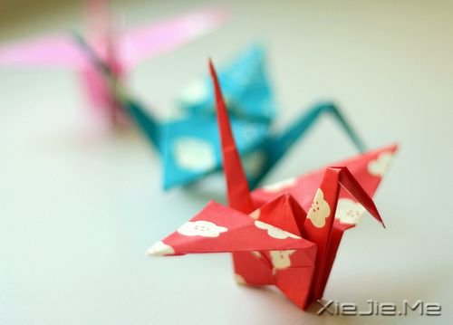 С����ͼƬ (2)