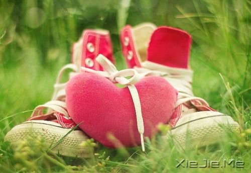 С����ͼƬ (5)